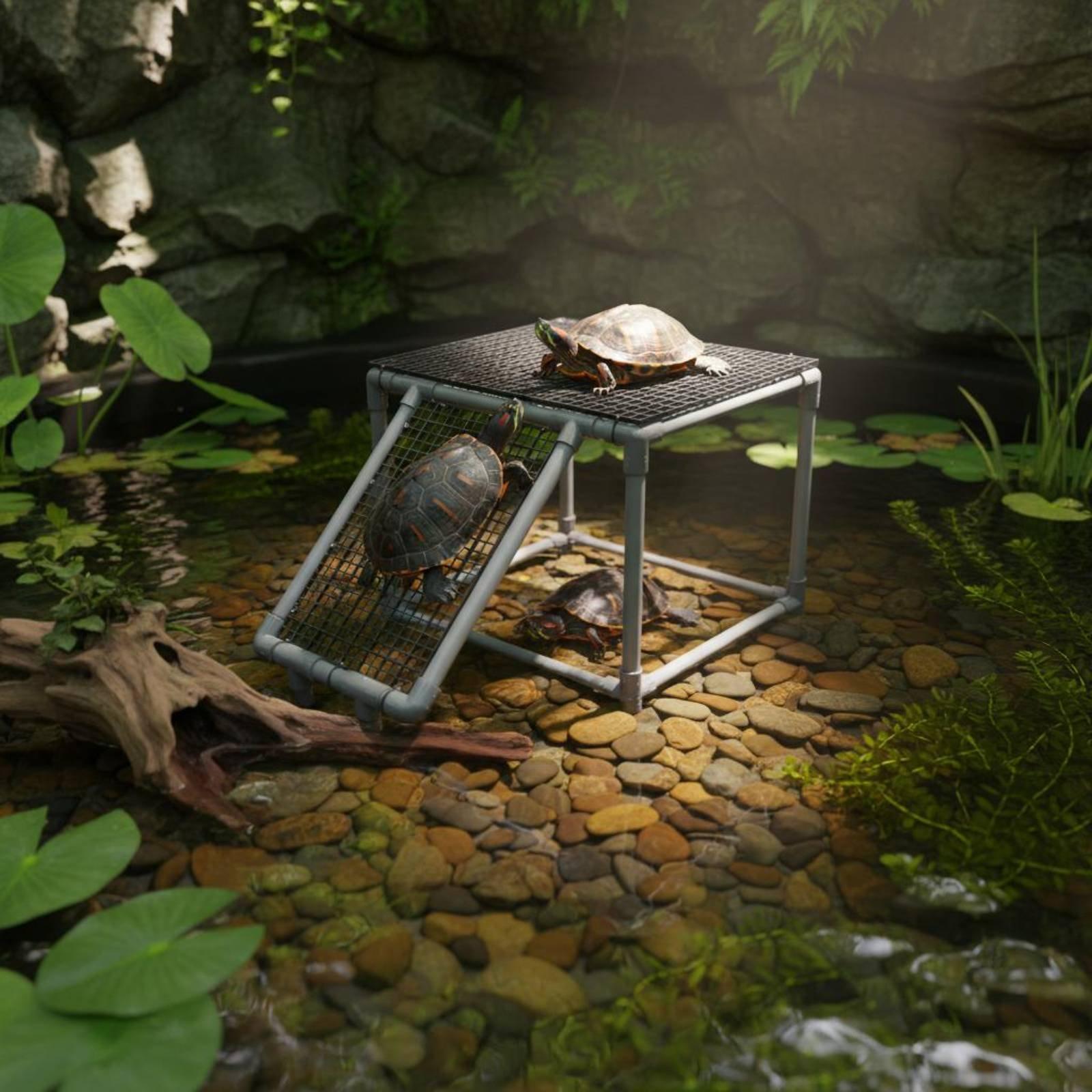 Plateforme de repos pour tortu - Aquarium & Marine Science Center avis et prix