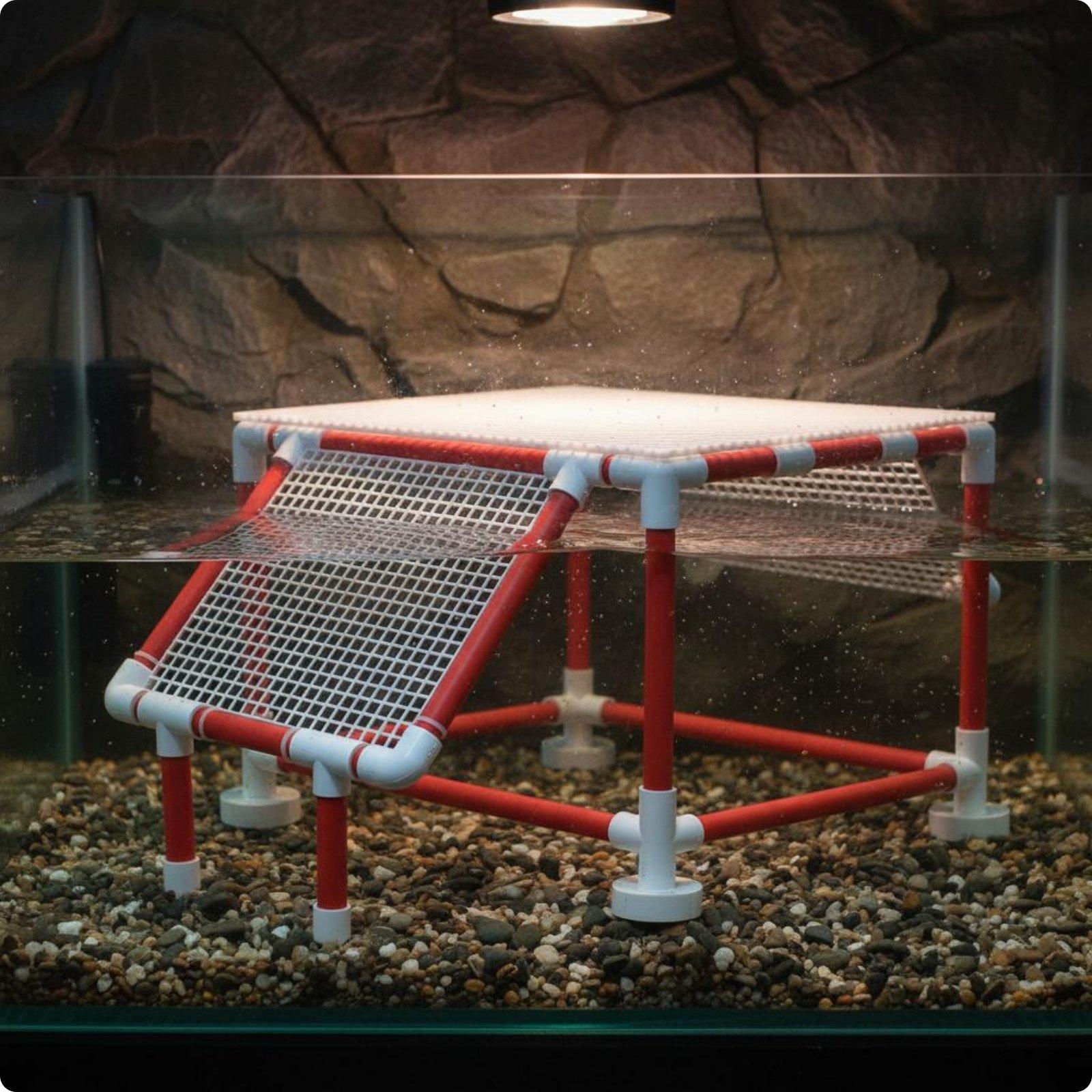 Plateforme de repos pour tortu - Aquarium & Marine Science Center avis et prix