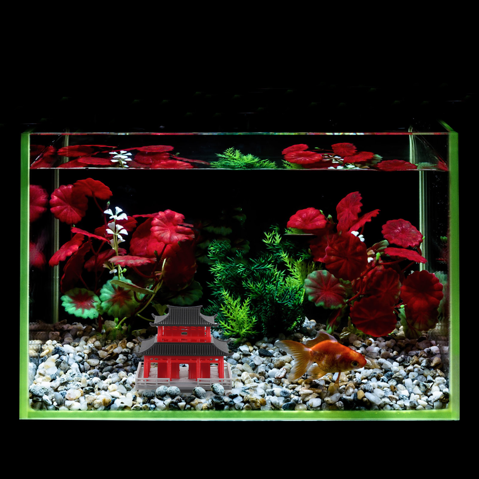 Pavillon ancien chinois, décor - Aquarium & Marine Science Center avis et prix