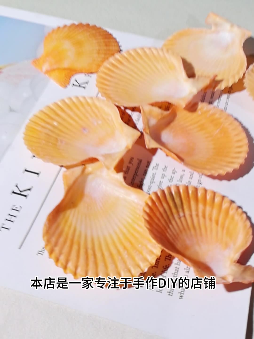 Meilleur coquille de pétoncle  - Aquarium Marina avis et prix