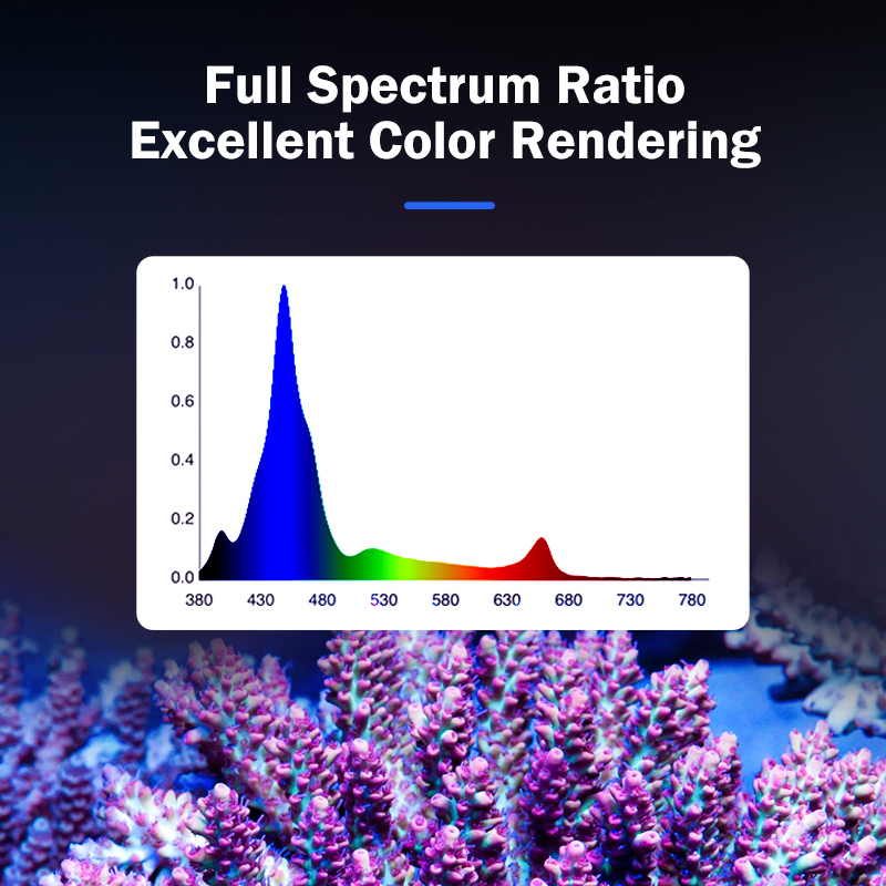Lampe LED à spectre complet po - Aquarium Marina avis et prix