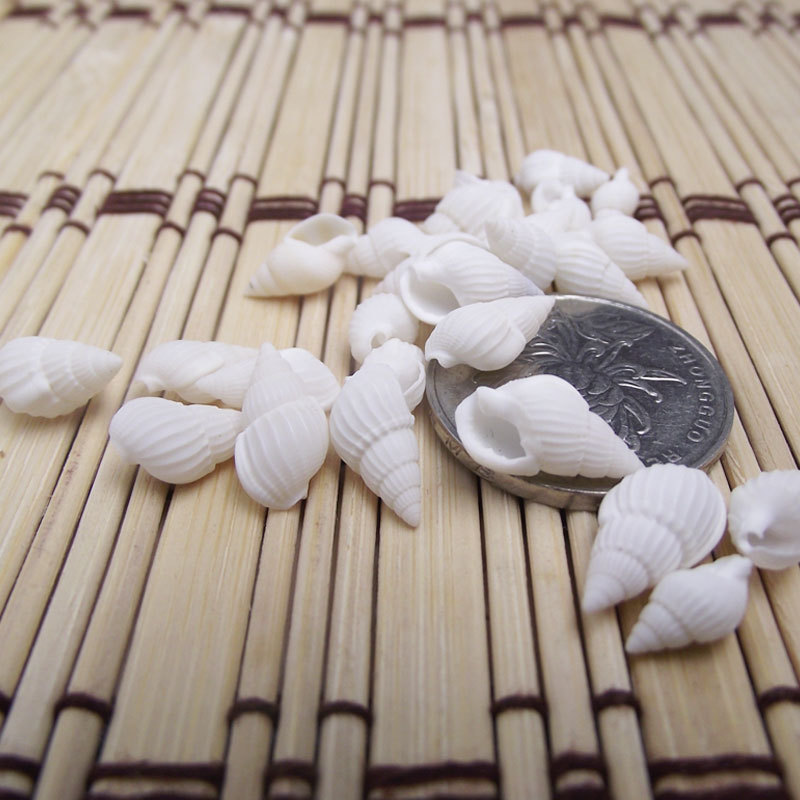 Coquillages naturels de Zeuxis - Aquarium Marina avis et prix