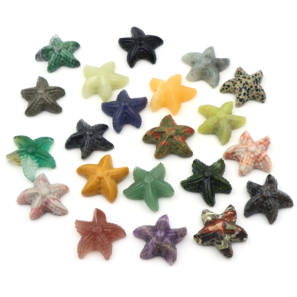Statue en forme d'étoile de me - Aquarium Marina avis et prix